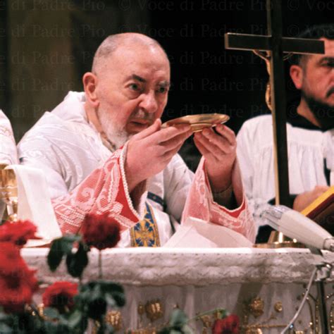 Padre Pios Mass Portale Ufficiale Di Padre Pio Da Pietrelcina