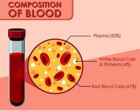 Diagram Showing Composition Of Blood Free Vector