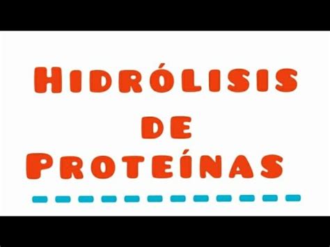 Hidrolisis de Proteínas Y otros mecanismos Bqcos YouTube