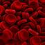 All You Need To Know About Blood Clotting  Readers Digest