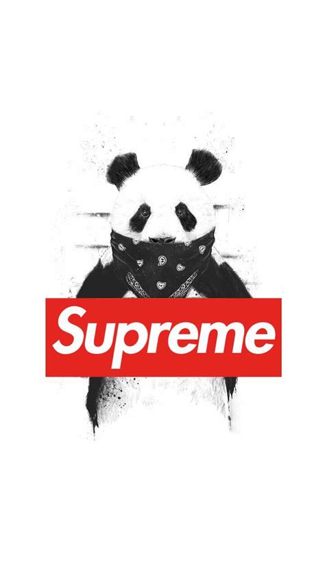 Supreme Panda Wallpapers Top Free Supreme Panda Backgrounds