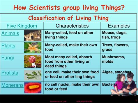 Q1 which of the following is not correct? PPT - Living things are different but share similar structures (SC.F.1.2.3) PowerPoint ...