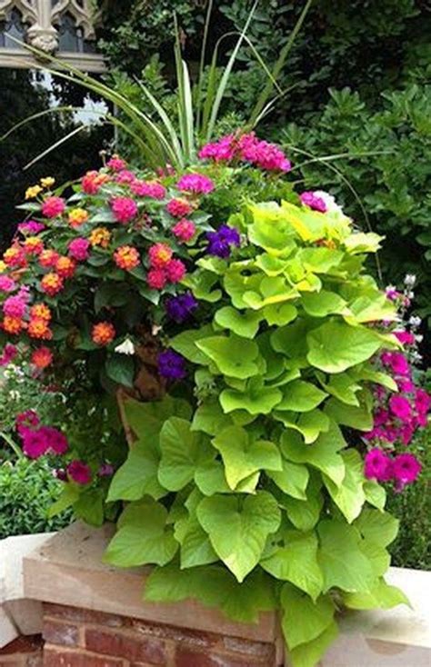 Amazing Summer Planter Ideas To Beautify Your Home 10 Garden