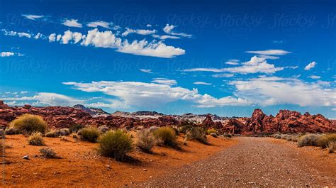 Path In The Nevada Desert By Stocksy Contributor Alan Shapiro Stocksy
