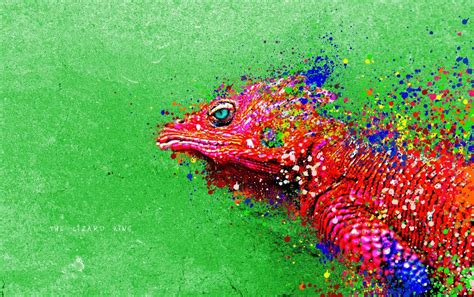 Colorful Lizard Wallpapers Wallpaper Cave