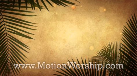 Palm Sunday Branches Frame Seamless Motion Loop Youtube