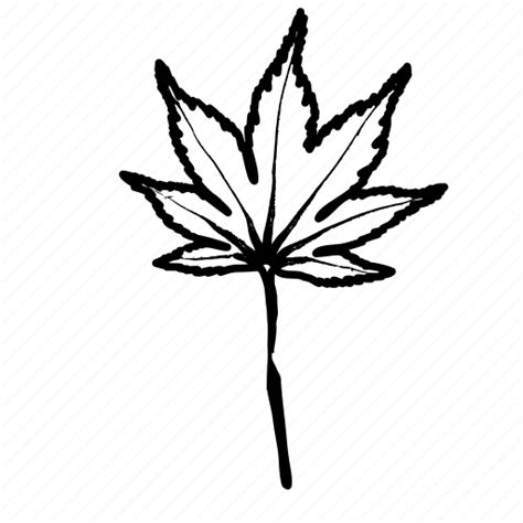 Botanical Japanese Maple Leaf Leaves Nature Icon Download On