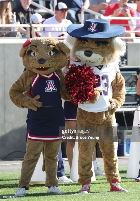 Wildcats Mascots Wilbur And Wilma Watch From The Sidelines During The