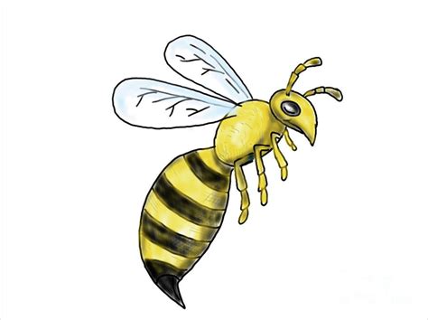 Honeybee Flying Drawing Digital Art By Aloysius Patrimonio Pixels