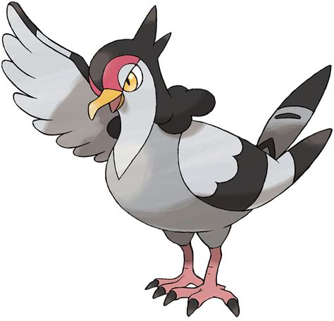 Tranquill Characters And Art Pokémon Black And White Flying Type