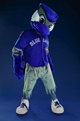 Ace Toronto Blue Jays Mascot Toronto Blue Jays Mlb Blue Jays Blue