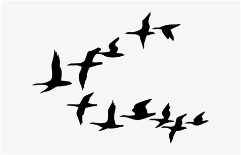 Flock Of Birds Silhouette Vector At Collection Of