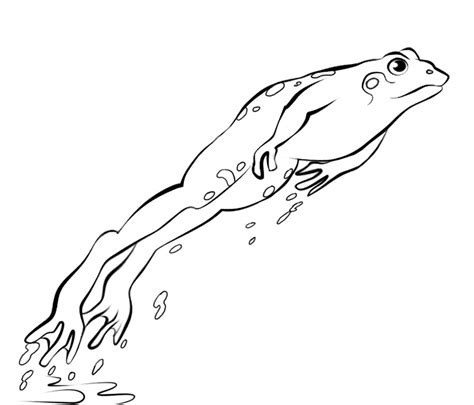 Jumping Frog Coloring Pages Sketch Coloring Page