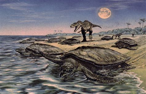 Archelon The Largest Prehistoric Marine Turtle Being