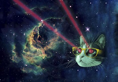 Laser Cat Destroyer Of Planets Tote Bag Ubicaciondepersonas Cdmx Gob Mx