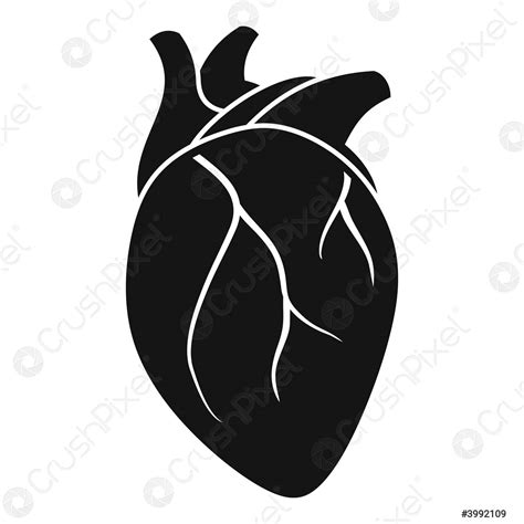 Body Human Heart Icon Simple Style Stock Vector Crushpixel