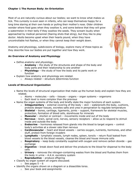 Https://tommynaija.com/worksheet/chapter 1 Introduction To Human Anatomy And Physiology Worksheet Answers