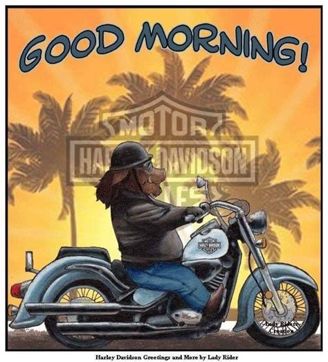 Pin By Douglas King On Hd Good Morning Harley Davidson Lady Riders Biker Quotes