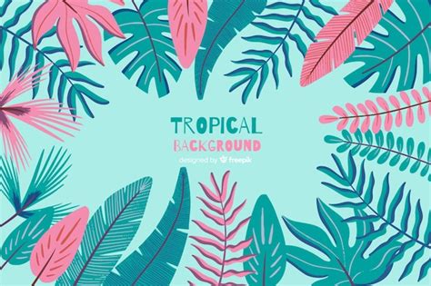 Free Vector Hand Drawn Tropical Background