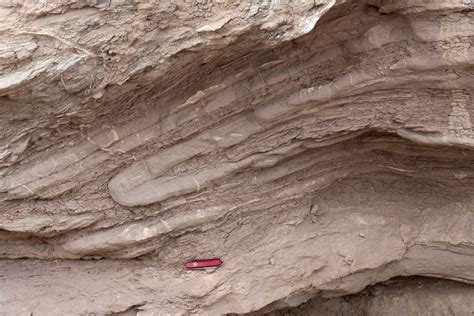 Recumbent Isoclinal Fold In Sandstone Geology Pics