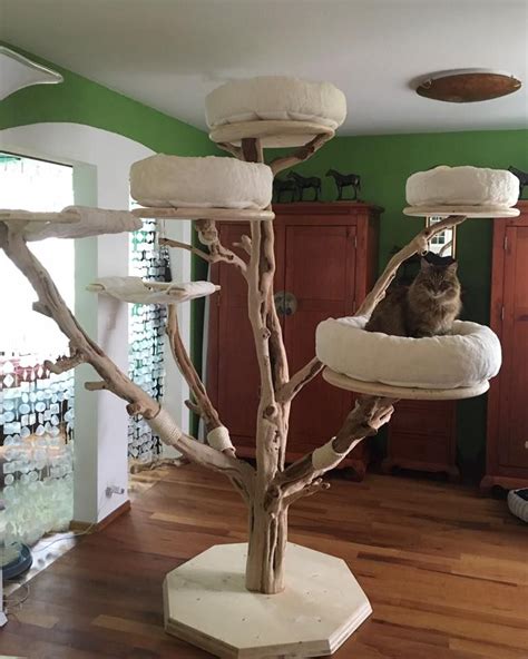 Here are my three favourite cat towers which offer great value for money, are all high quality, and fit all budgets my favourite cat tree by far is this superb 67 inch tall cat tower, sold by feandrea (click here for the latest price on amazon). Pin auf I ️ Cats!