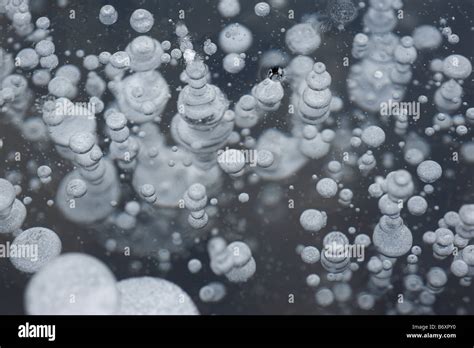 Air Bubbles Frozen In Ice Stock Photo Alamy