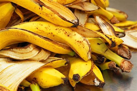 10 Amazing Banana Peel Uses In Gardens Gardening Sun