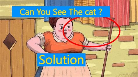 Can You See The Cat Answer Solution Youtube