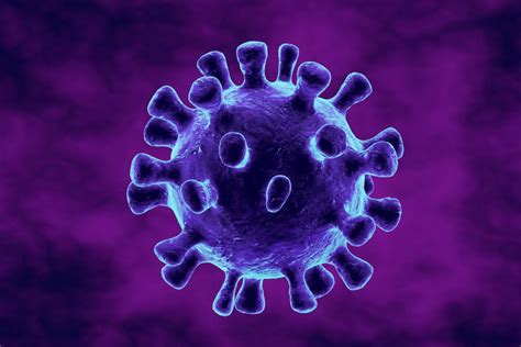 Human Pathogenic Virus Perfectus Biomed