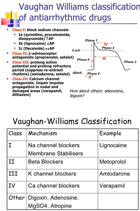 Vaughan Williams Classification System Of Antiarrhythmic Drugs Med Surg