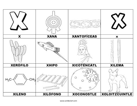 Dibujos Para Colorear Que Empiecen Con La Letra X Impresion Gratuita