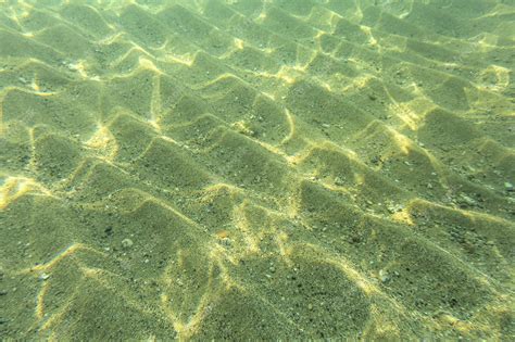 Premium Photo Underwater Photo Seafloor Sun Shines On Sand Dunes