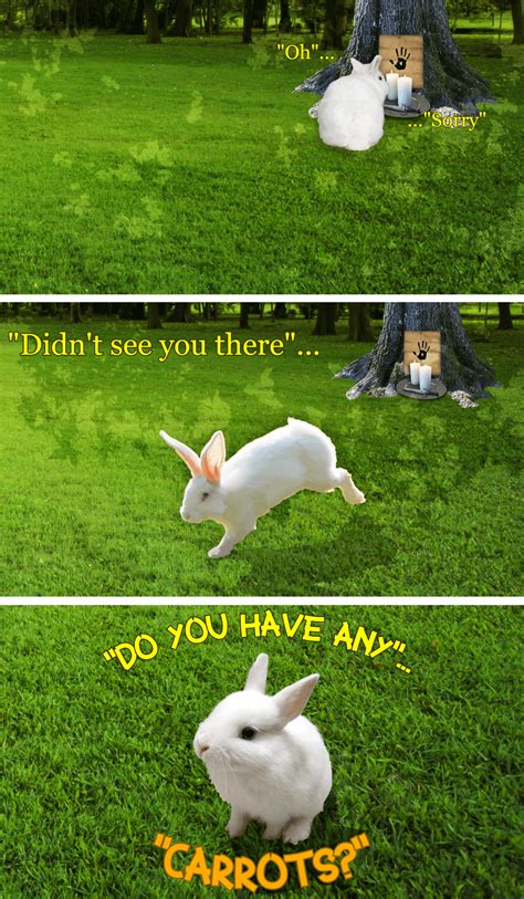 Carrots : r/memes