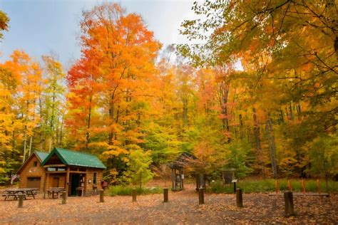 Michigan Legacy Art Park Announces Guided Fall Color Tour