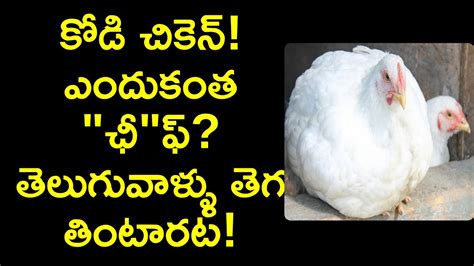 Why Chicken Is So Cheap Explained In Telugu Interesting Facts In
