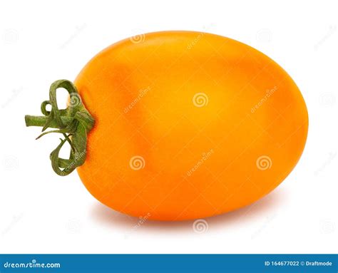 Orange Plum Tomato Stock Photo Image Of Tomato Single 164677022