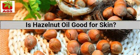 About Hazelnut Oil Benefits And Uses For Skin AOS Blog