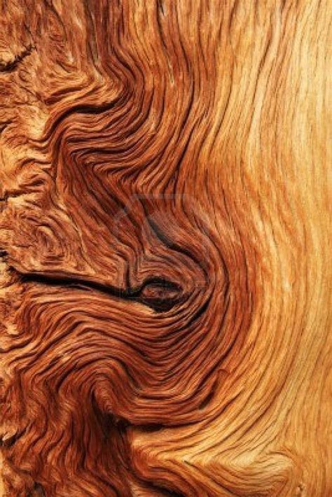 Imagem Relacionada Wood Patterns Patterns In Nature Textures Patterns