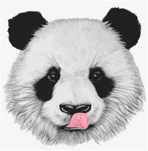 Bamboolovers Com Realistic Baby Panda Drawings 2400x2400