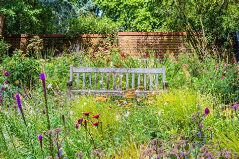 Native Garden Plants How To Design A Native Garden Gardening Know How