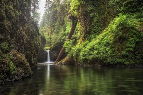 Punch Bowl Falls Portland Oregon Usa Photograph By Jonathan Tucker