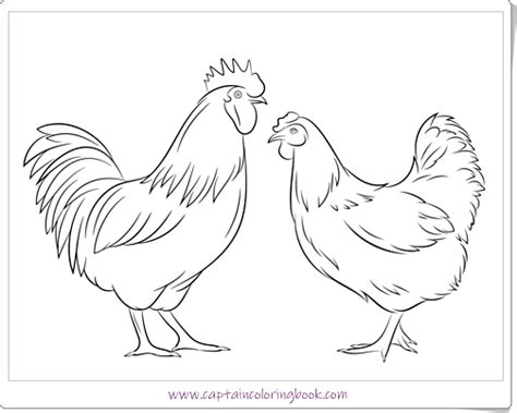 Besides being edible, both meat and eggs, chicken is often a livelihood for some people. Your SEO optimized title