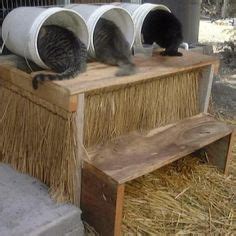 This handy little feeding station comes in your choice of the following cat food perch made out of an old cat scratching tree post. 1000+ images about Feral Cats Feeding station on Pinterest ...