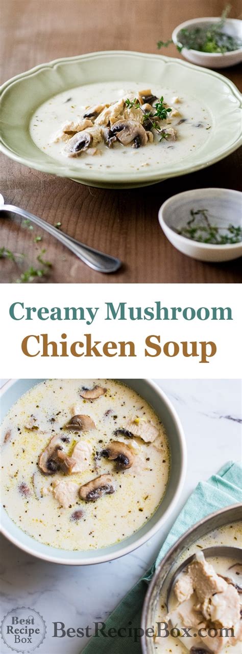 Creamy Chicken Mushroom Soup Recipe Easy Quick Best Recipe Box