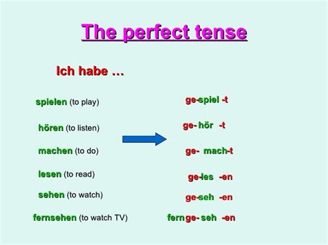 The Perfect Tense Haben Cl