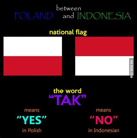 (zimna woda is a town in poland. Indonesia & Poland - Yin and Yang | Funny memes, Memes ...