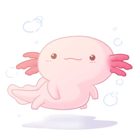 Just hatched axolotl (1⁄4tsp for scale). Axolotl Drawing at GetDrawings | Free download