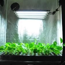 So if you are growing tomatoes indoors with artificial light (or cannabis, of course), how can you give them the light they need with fluorescent bulbs? Types of Grow Lights for Indoor Plants - Fancy Gardening