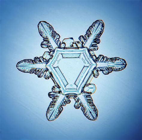 The Stunning Macro Snowflake Photography Of Sergey Kichigin The