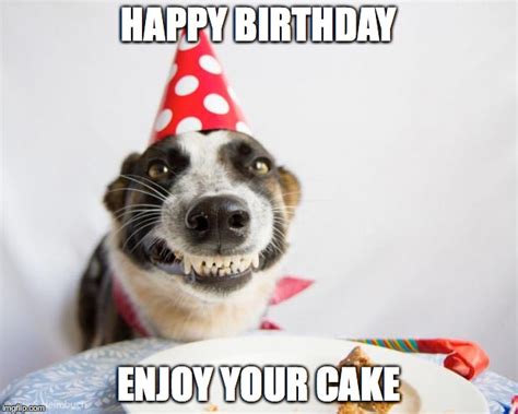 Happy Birthday Funny Dog Meme